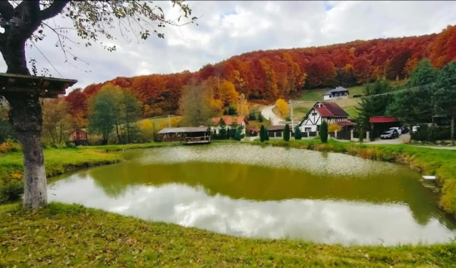 Pensiunea Cerbul - Valea Dobarlaului Exterior photo